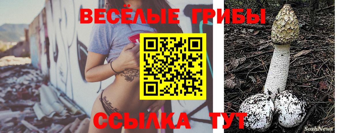Галлюциногенные грибы GOLDEN TEACHER Минусинск