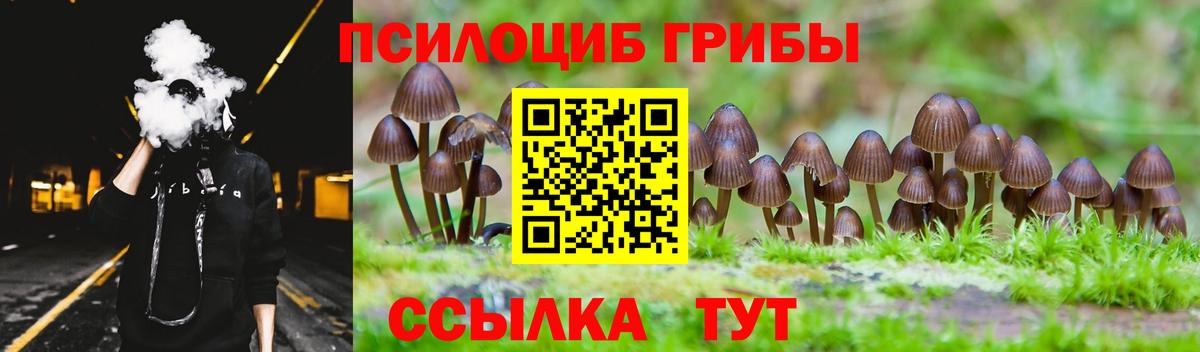 Псилоцибиновые грибы Psilocybine cubensis  Вход с VPN  Псилоцибиновые грибы Psilocybe  Минусинск 